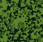 (1360) Camuflage - Skov