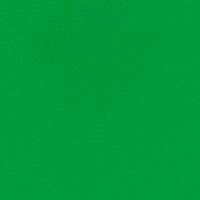 (1547) Grøn læderlook