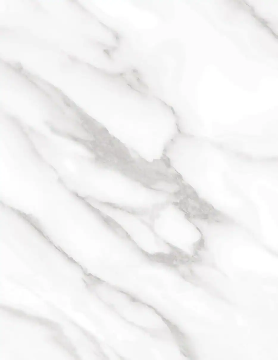 (2369) HR - NE31 Statuary White - (Mat)