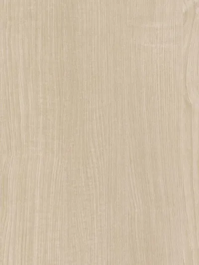 CT13 - Pale Grey Maple