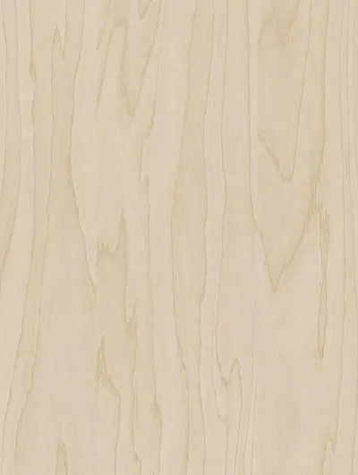 CT19 - Gold Pale Birch