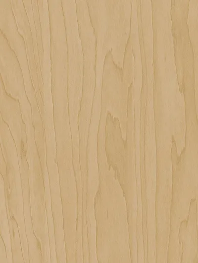 CT20 - Gold Beige Birch