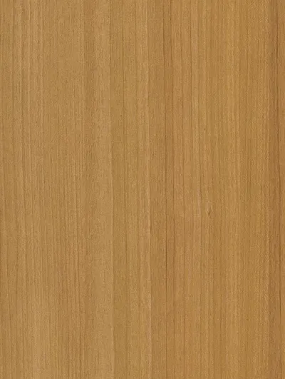 CT22 - Honey Birch