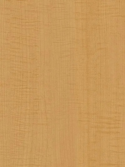 CT70 - Yellow Sycamore