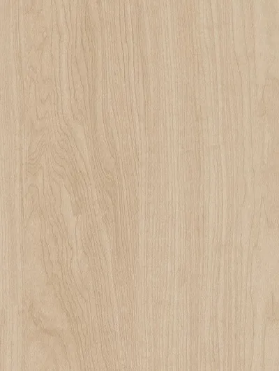 CT93 - Beige Acacia