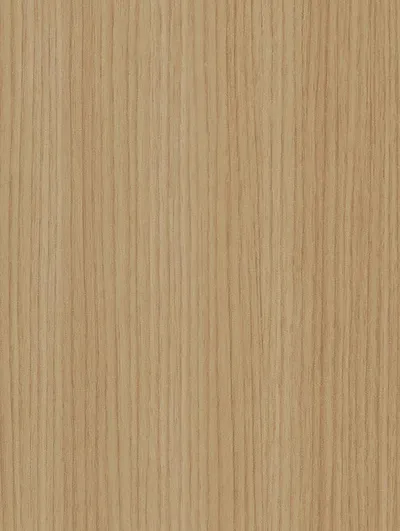 CT97 - Almond Palm Tree