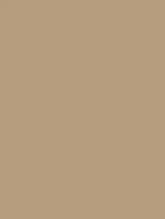 (1930) NE55 - Caffe Latte - (Mat)