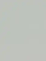 NE86 - Gray