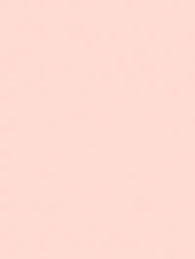 NF01 - Himalaya Salt