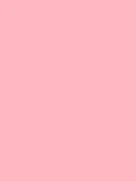 (1939) NF07 - Pink Flamingo - (Mat)