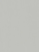 NF20 - Crispy Gray