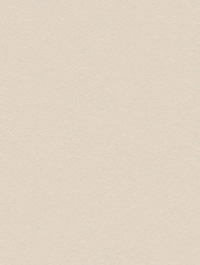 NH49 - Snowflake Stucco