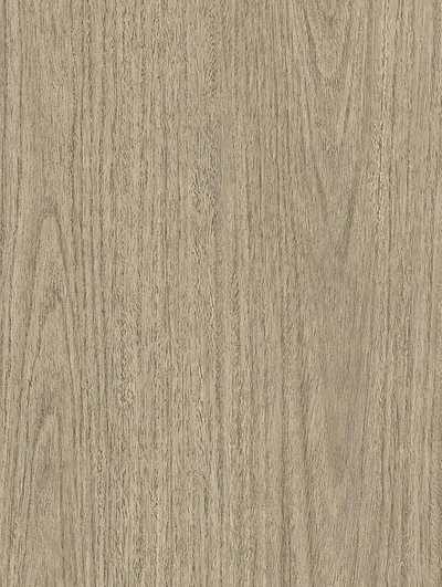 NH74 - Eucalyptus Grove