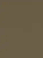 (2579) NK27 - Suede Gold - (Metallic)