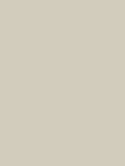 RM02 - Pearl Grey