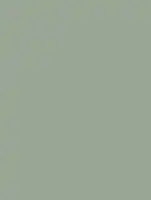 RM30 - Eucalyptus