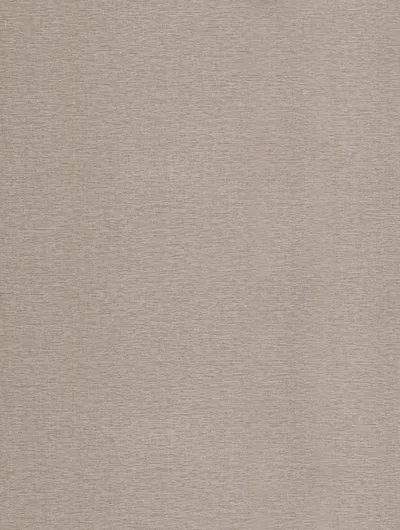 ST02 - Might Beige Mesh