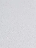 (2003) X52 - Togo White  - (Mat)